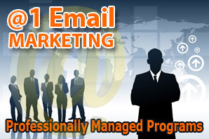 Email Marketing Professionally Managed