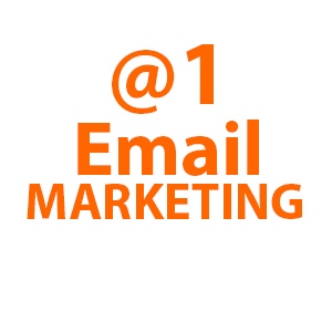 Email Marketing Professionally Managed